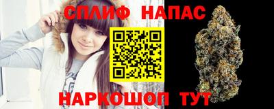 амф Будённовск