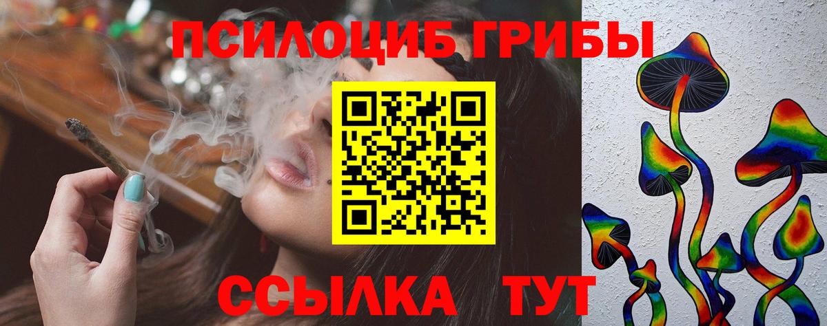 Ливны  Псилоцибиновые грибы мицелий  Вход с VPN 